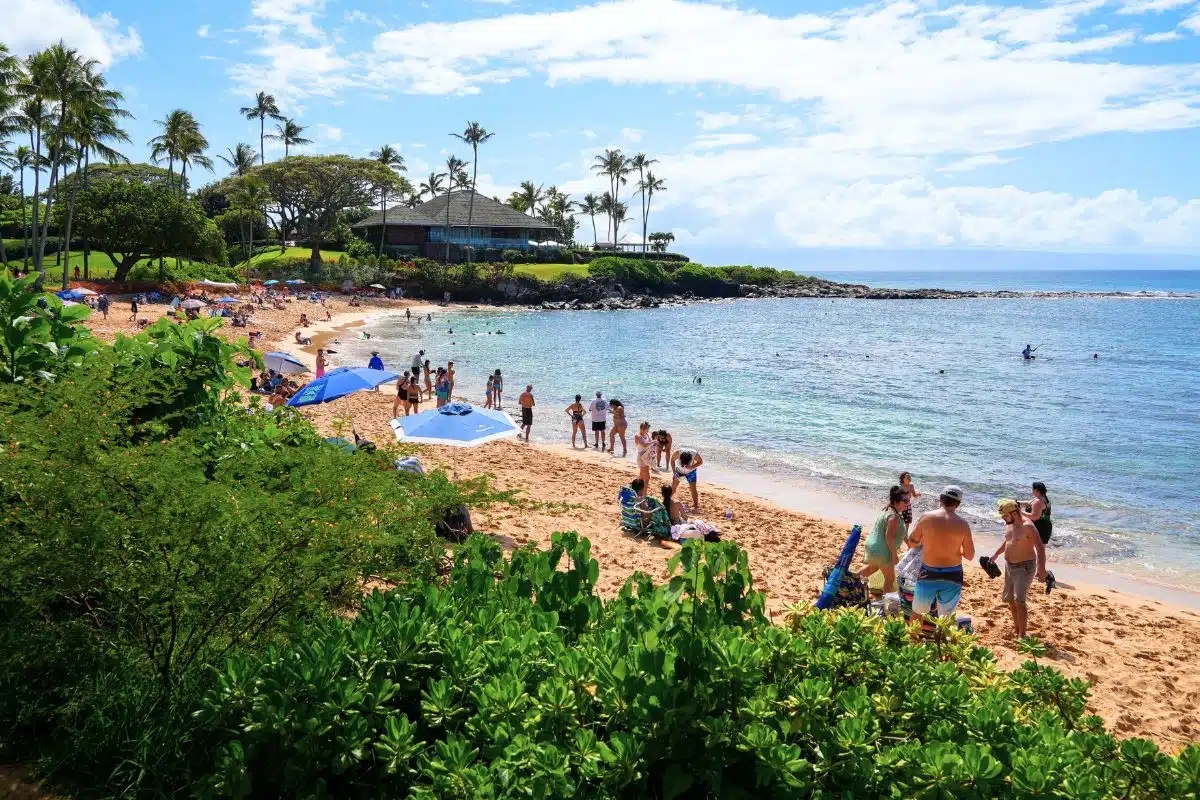 Reopening of Tourism in West Maui in October – What You Need to Know