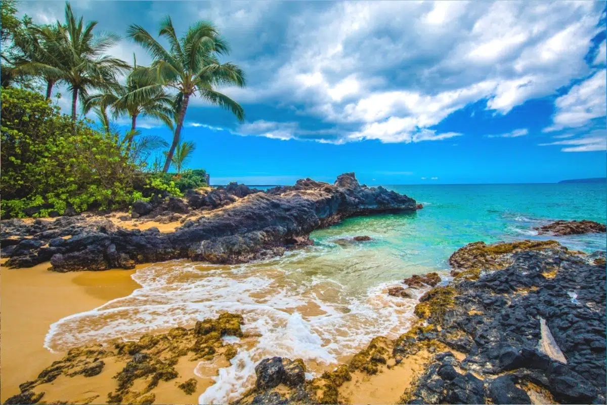 Maui Island in Hawaii Considers Implementing Tourism Limits